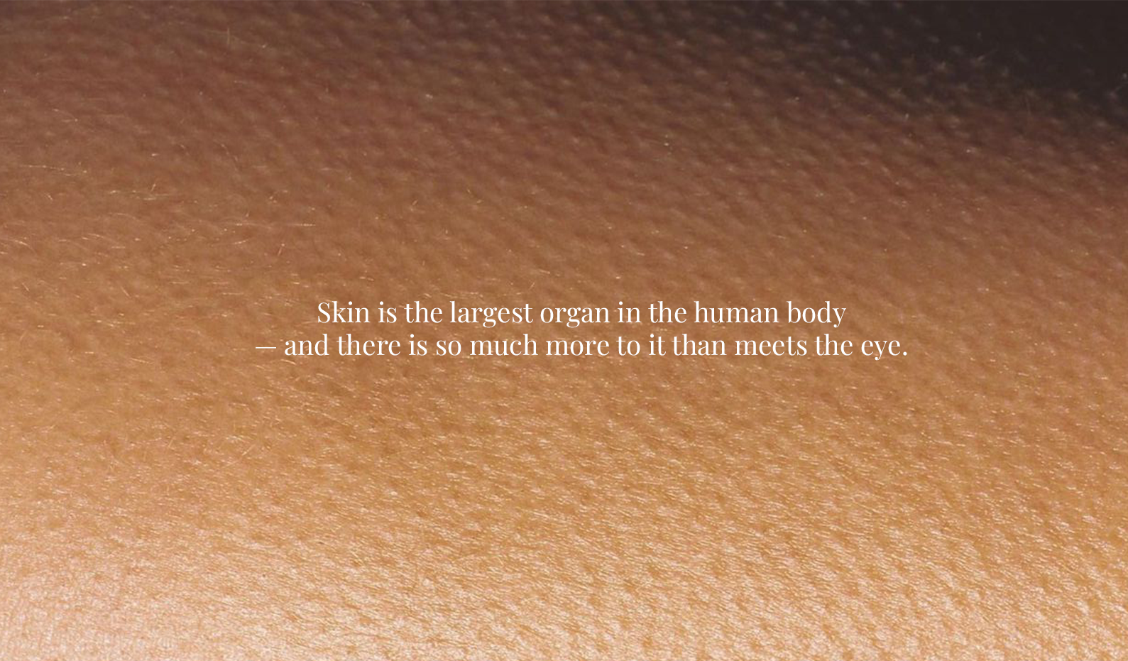 The Skin Explained: How Skin Works, Skin Layers & the Skin Barrier