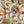 Load image into Gallery viewer, Corbin Rd Miso Ramen Vegetable Broth - Miso Ramen
